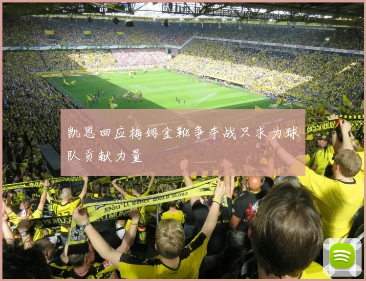 凯恩回应梅姆金靴争夺战只求为球队贡献力量