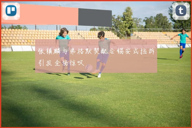 张镇麟与弗格默契配合锡安式挡拆引发全场惊叹