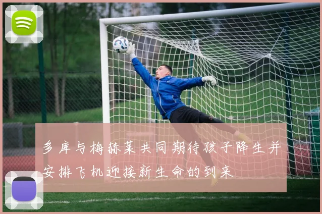 多库与梅赫莱共同期待孩子降生并安排飞机迎接新生命的到来