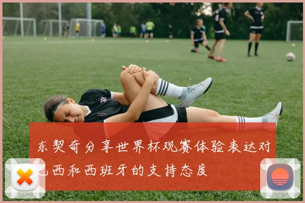 东契奇分享世界杯观赛体验表达对巴西和西班牙的支持态度